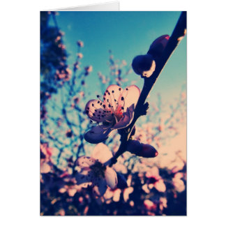 Tarjeta de los flores de Lomo de la primavera