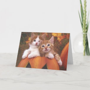 Tarjeta de los gatitos de Halloween