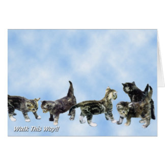 Tarjeta de los gatitos - linda