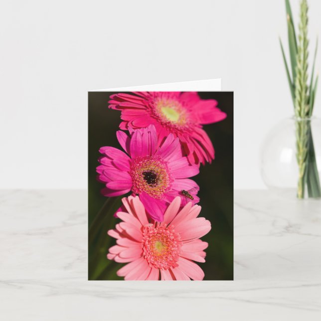 Tarjeta de los Gerberas (Anverso)