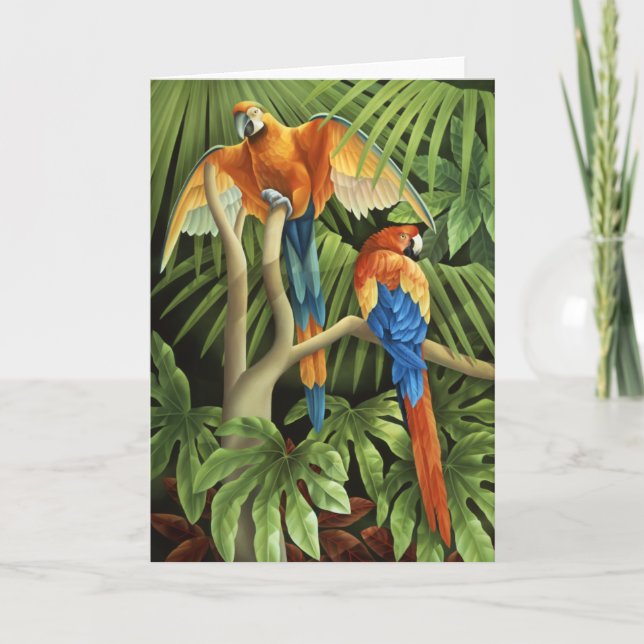 Tarjeta de los Macaws (Anverso)