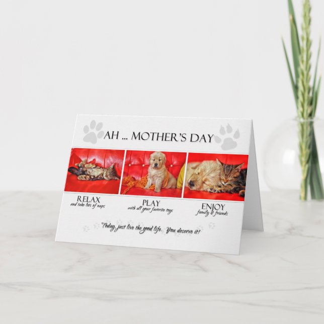 Tarjeta de los Mascotas en el Día de la Madre Gatito diver (Anverso)