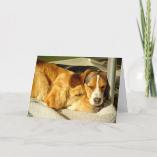 Tarjeta de los "mejores amigos"