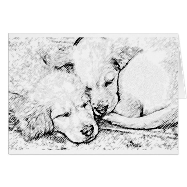 Tarjeta de los perritos (Anverso (Horizontal))