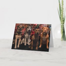 Tarjeta de los perritos de las Felices Navidad