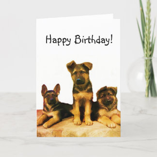Tarjeta de los perritos del pastor alemán del