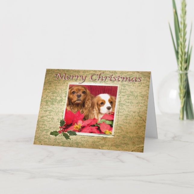 Tarjeta de los perros de aguas de rey Charles del (Anverso)