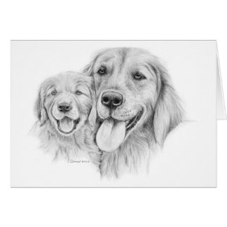 Tarjeta de los perros perdigueros de oro