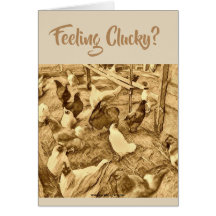 TARJETA DE LOS POLLOS DE CLUCKY