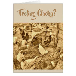 TARJETA DE LOS POLLOS DE CLUCKY