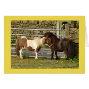 Tarjeta de los potros de Shetland