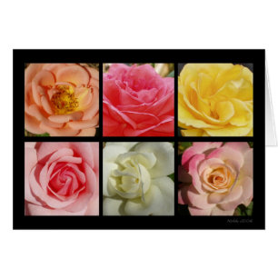 Tarjeta de los rosas