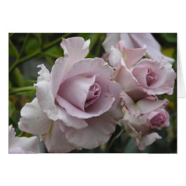 Tarjeta de los rosas de la lavanda