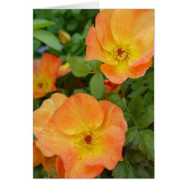 Tarjeta de los rosas de la llama del otoño