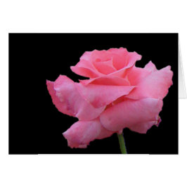 Tarjeta de los rosas y de los chocolates