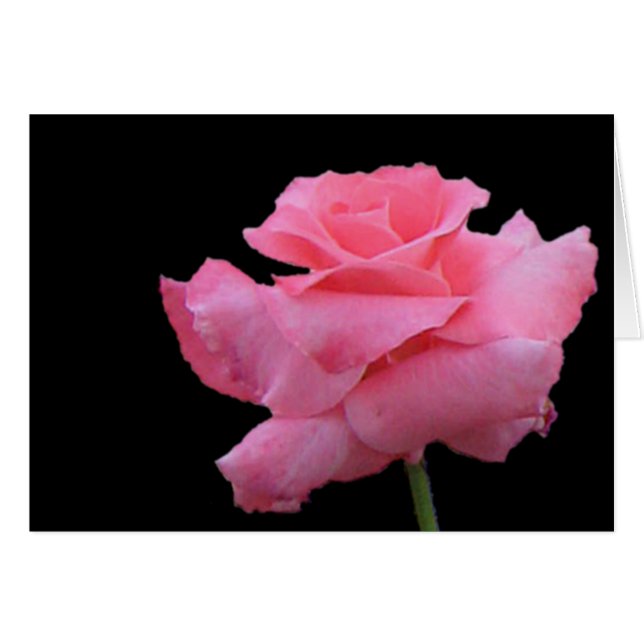 Tarjeta de los rosas y de los chocolates (Anverso (Horizontal))