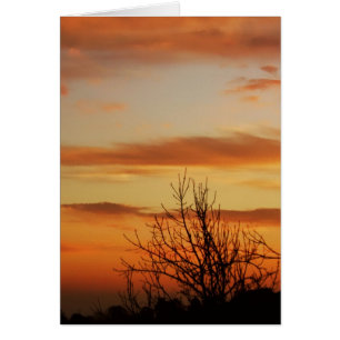 tarjeta de los skyscapes del albaricoque