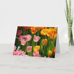 Tarjeta de los tulipanes de la primavera