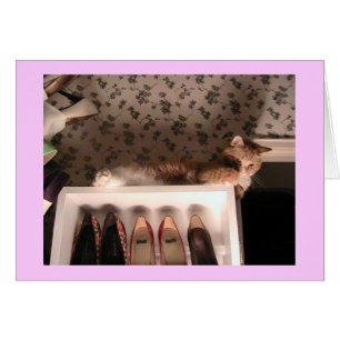 Tarjeta de los zapatos de Jazzpurr - modificada