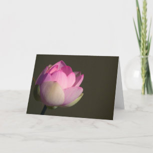 Tarjeta de Loto Rosa