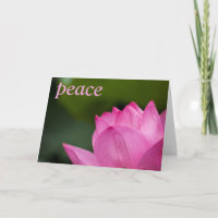 Tarjeta de Lotus Sympathy