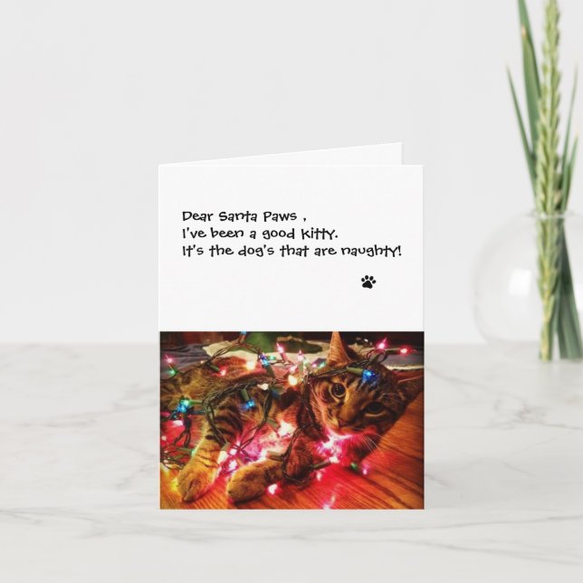 Tarjeta de Luces de Navidad - Querido Santa Patas (Anverso)