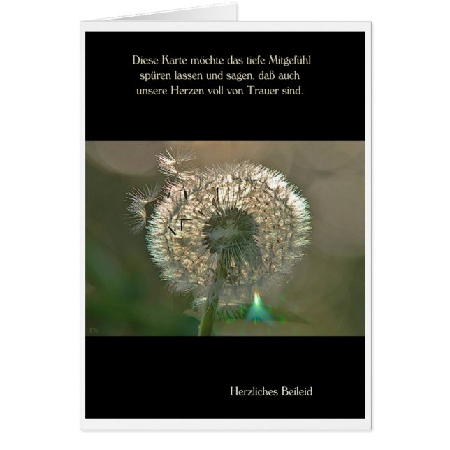 Tarjeta de luto Pusteblume pésame Cordial (Frente)