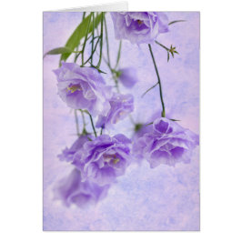 Tarjeta de macro Campanella Flowers púrpura