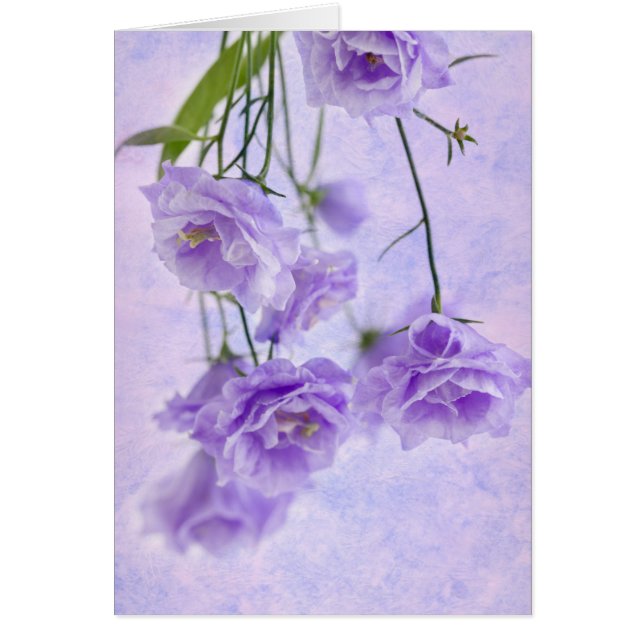 Tarjeta de macro Campanella Flowers púrpura (Frente)