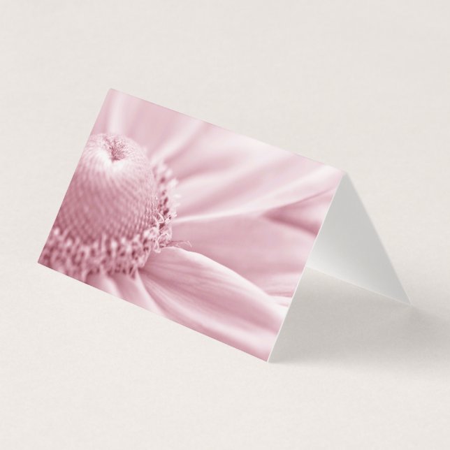 Tarjeta de macro Gloriosa Daisy (Anverso)