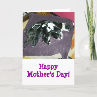 Tarjeta de Madre del Día-Boston Terrier