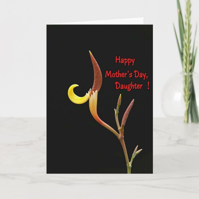 Tarjeta de Madres Botánicas Chevron (Anverso)