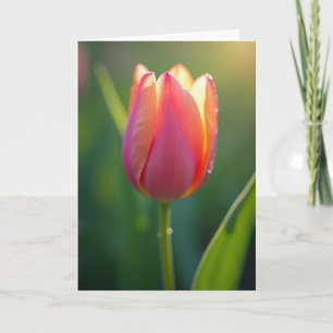 Tarjeta de Madres Floral de Albaricoque