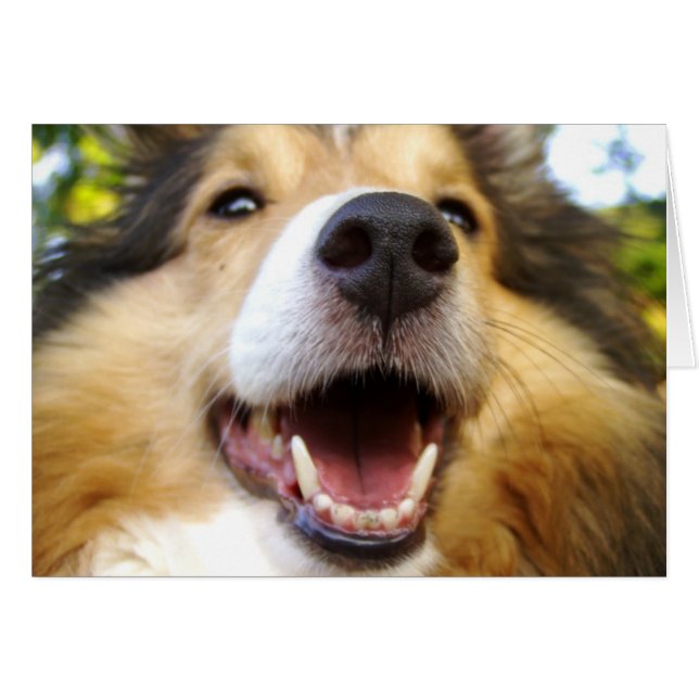 Tarjeta de Maggie (Anverso (Horizontal))