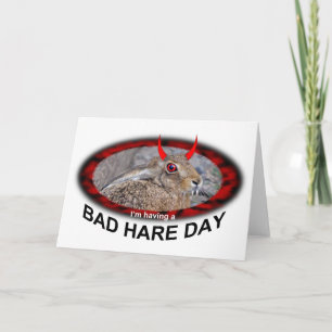 Tarjeta de mal día de liebre