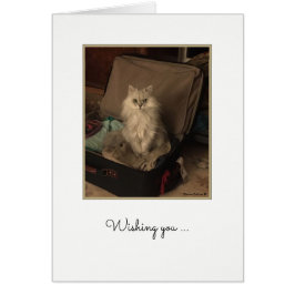 Tarjeta de maleta de felino feliz de cumpleaños