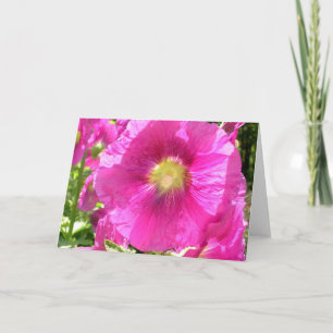 Tarjeta de Malva