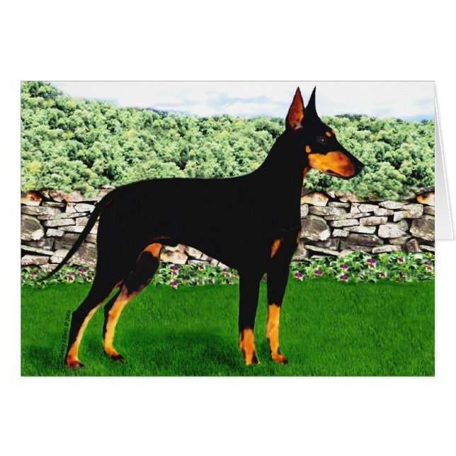 Tarjeta de Manchester Terrier (Anverso (Horizontal))