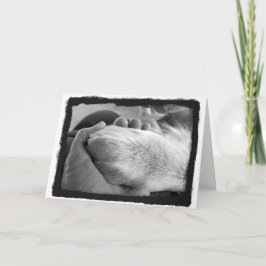 Tarjeta de mano de arrastre