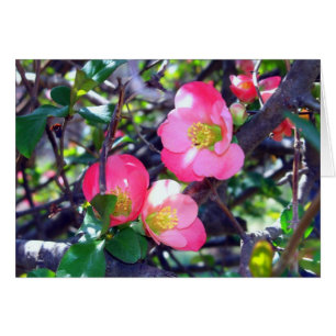 Tarjeta de Manzano Silvestre en Flor en Primavera