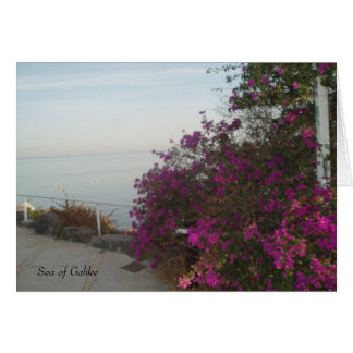 Tarjeta de Mar de Galilea