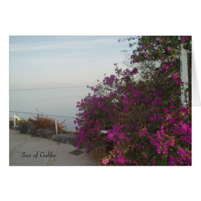 Tarjeta de Mar de Galilea (Anverso (Horizontal))