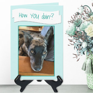 Tarjeta de marcador de posición de foto de perro l