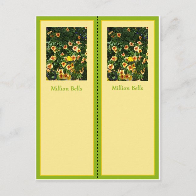 Tarjeta de marcadores de Bonito Million Bells (Anverso)