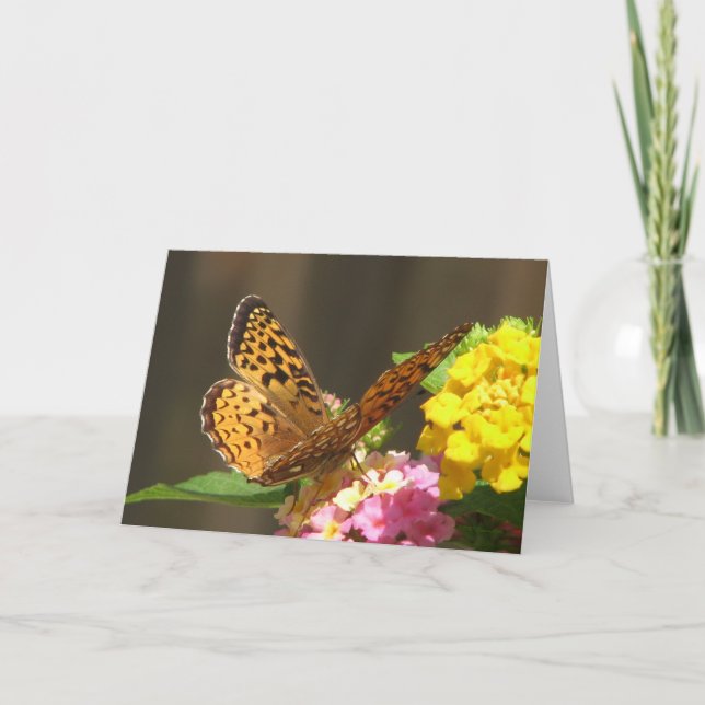 Tarjeta de mariposa (Anverso)