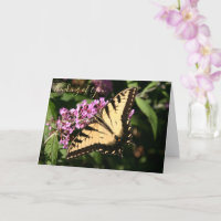 Tarjeta de Mariposa Cola de Golondrina Negra