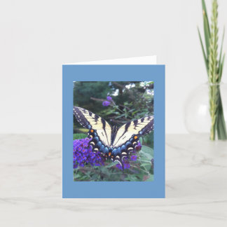 Tarjeta de mariposa de cola tragada 2
