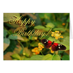 Tarjeta de mariposa feliz cumpleaños