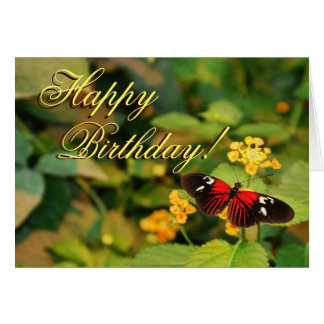 Tarjeta de mariposa feliz cumpleaños