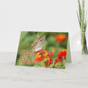 Tarjeta de mariposa feliz cumpleaños